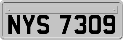NYS7309