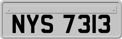 NYS7313