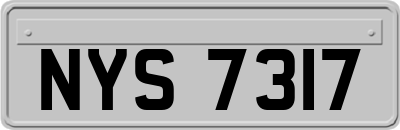 NYS7317