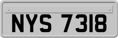 NYS7318