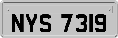 NYS7319