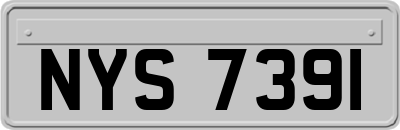 NYS7391