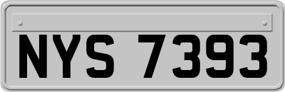 NYS7393