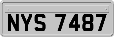 NYS7487
