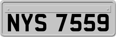 NYS7559