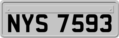 NYS7593