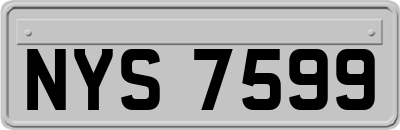NYS7599