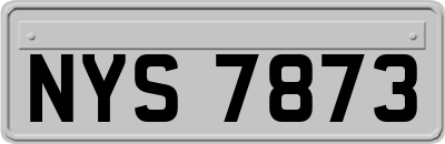 NYS7873