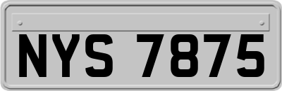 NYS7875