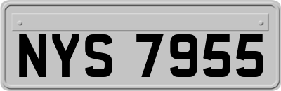 NYS7955