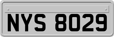 NYS8029