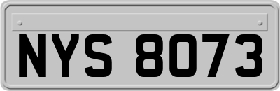 NYS8073