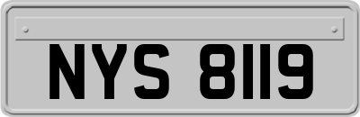 NYS8119