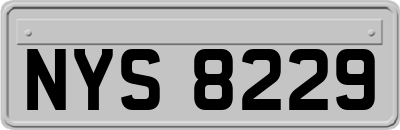 NYS8229