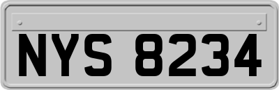 NYS8234