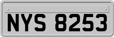 NYS8253