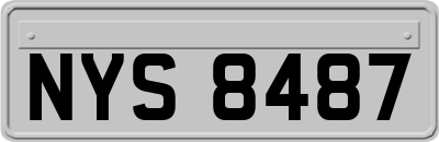 NYS8487