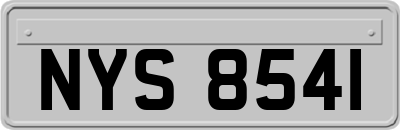 NYS8541