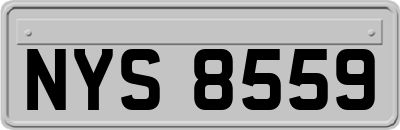NYS8559