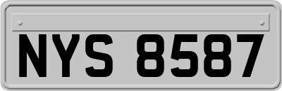 NYS8587