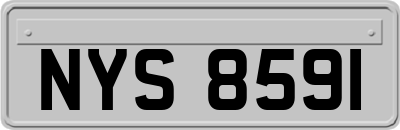 NYS8591