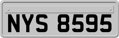 NYS8595