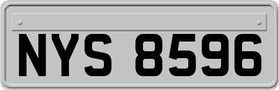 NYS8596
