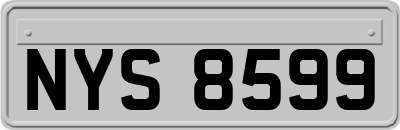 NYS8599
