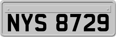 NYS8729