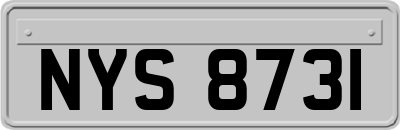 NYS8731