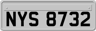 NYS8732