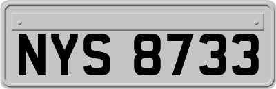NYS8733