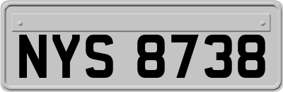 NYS8738