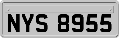 NYS8955