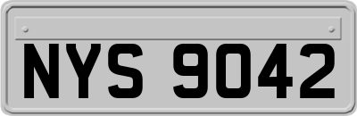 NYS9042