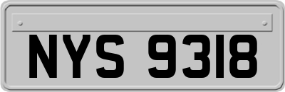 NYS9318