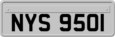 NYS9501