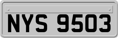 NYS9503