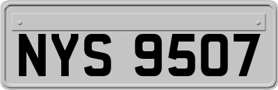 NYS9507