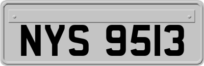 NYS9513