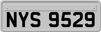NYS9529