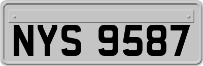 NYS9587