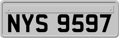NYS9597