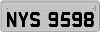 NYS9598