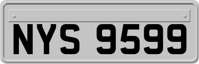 NYS9599