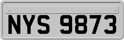 NYS9873