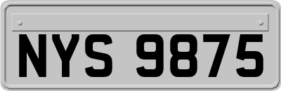 NYS9875