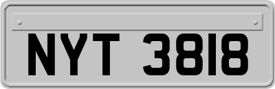 NYT3818