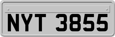 NYT3855