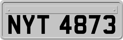 NYT4873